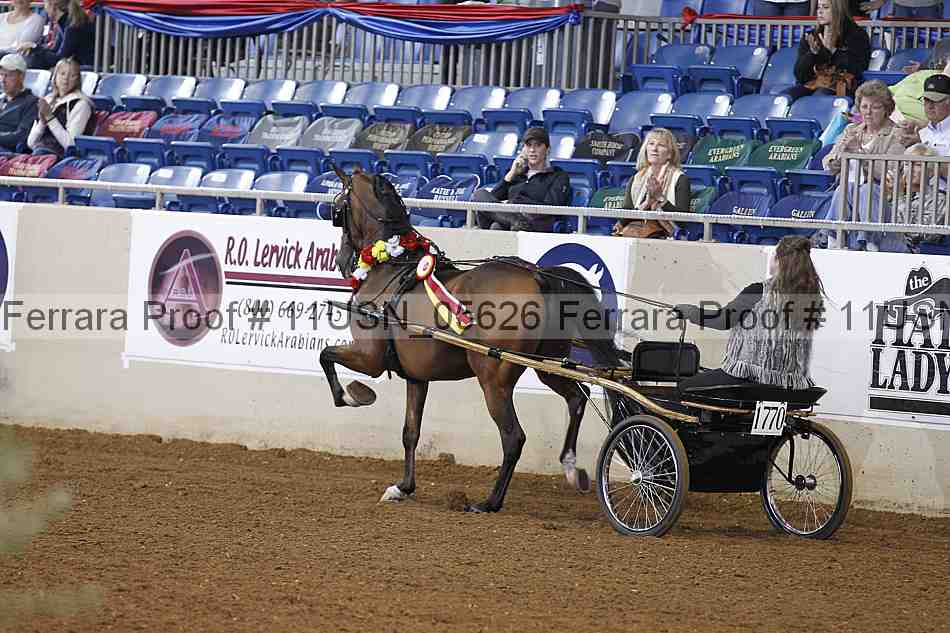 Proof 11usn_05626