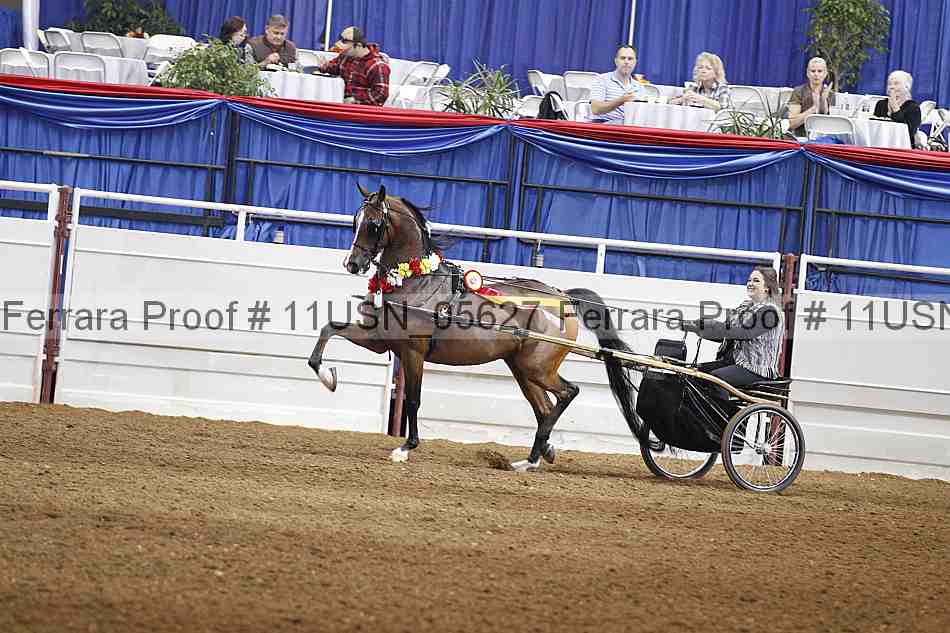 Proof 11usn_05627
