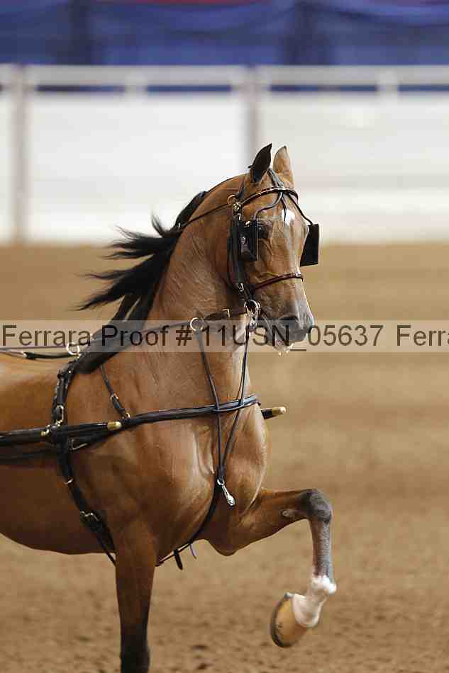 Proof 11usn_05637