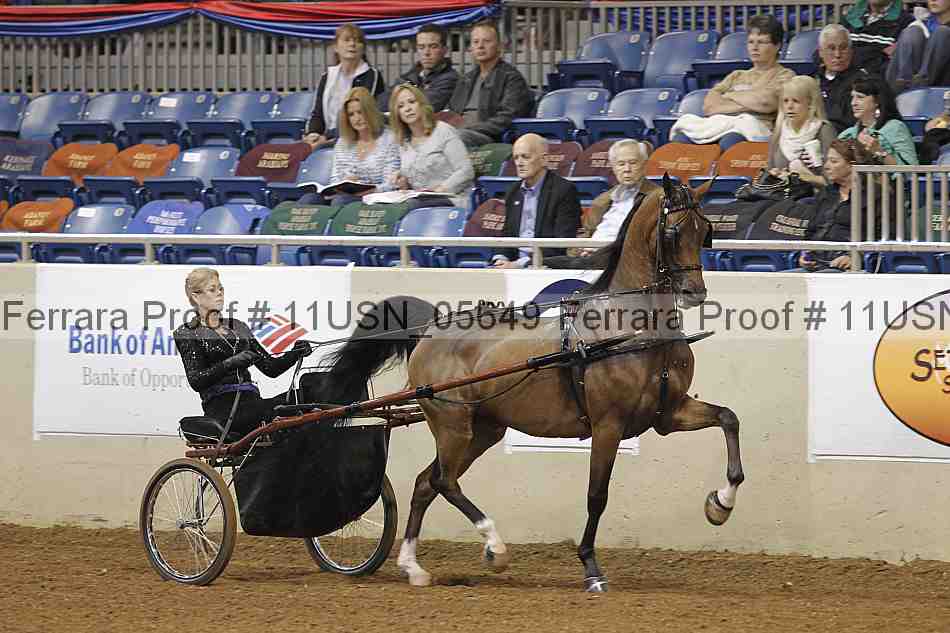 Proof 11usn_05649