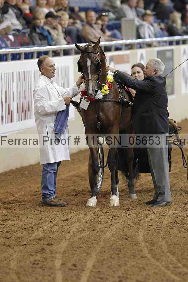 Proof 11usn_05653