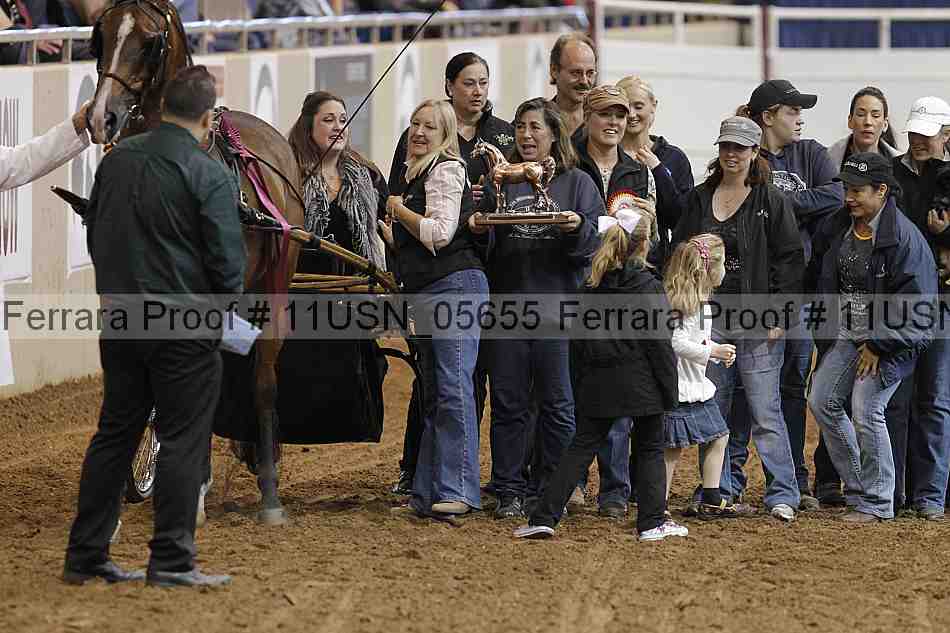 Proof 11usn_05655
