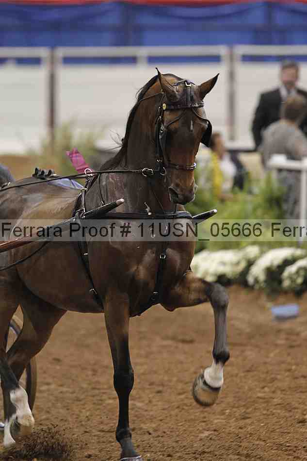 Proof 11usn_05666