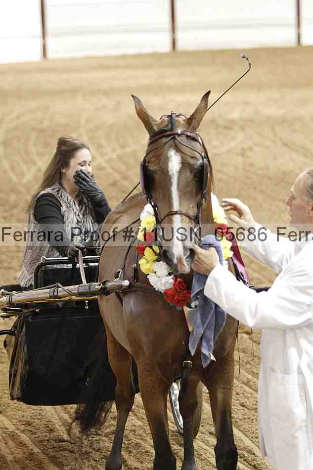 Proof 11usn_05686