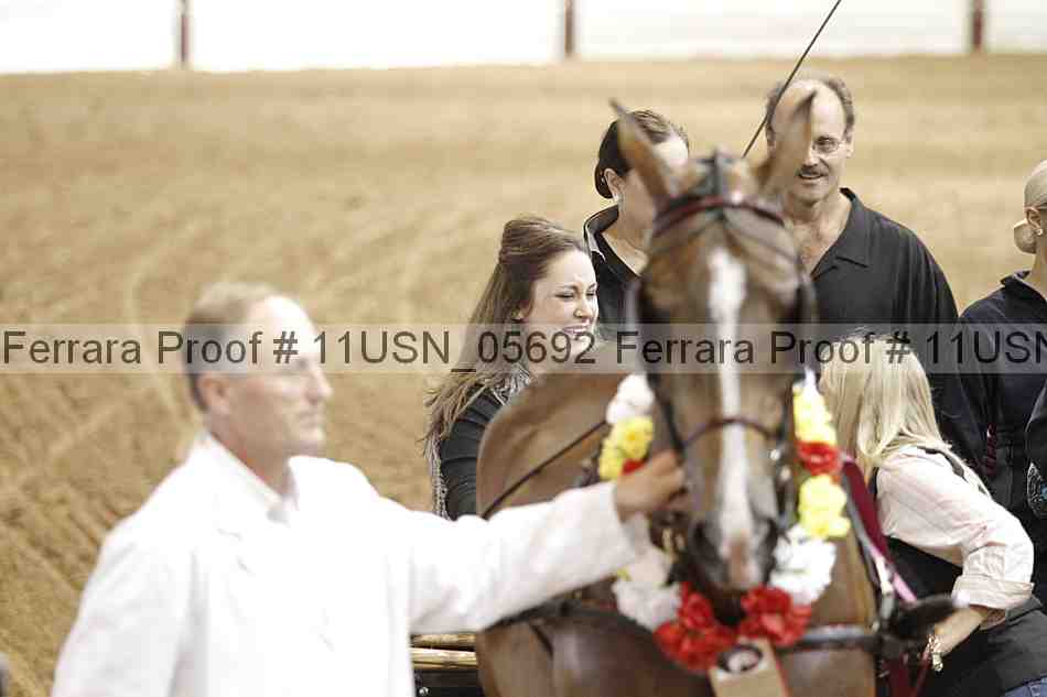Proof 11usn_05692