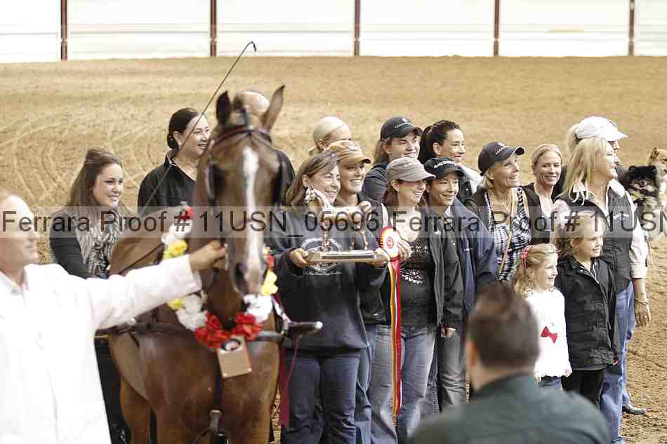 Proof 11usn_05696