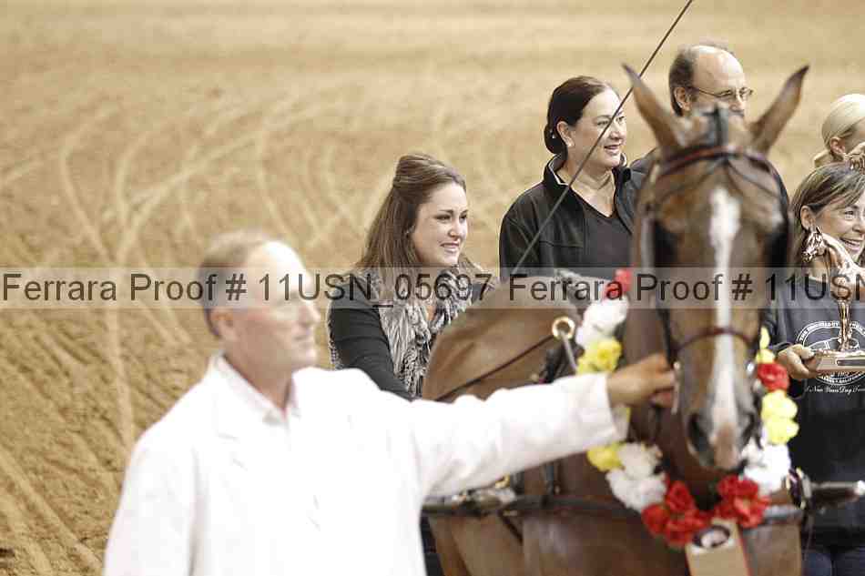 Proof 11usn_05697