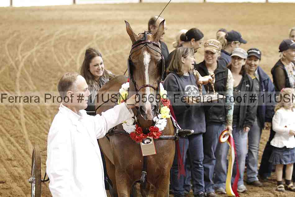 Proof 11usn_05699
