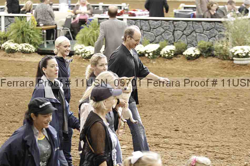Proof 11usn_05701