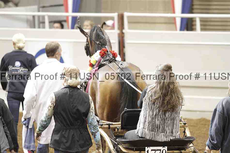 Proof 11usn_05702