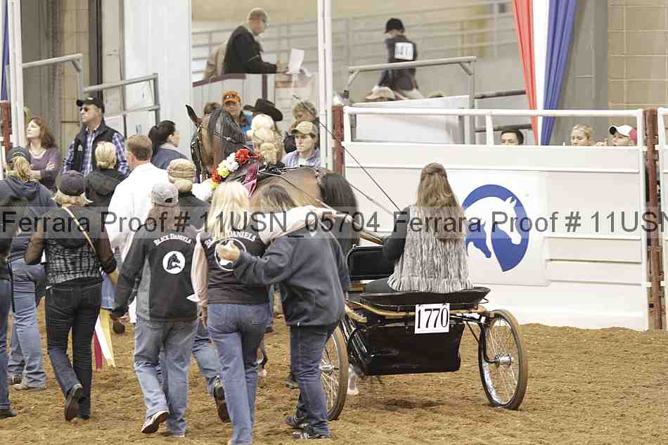 Proof 11usn_05704
