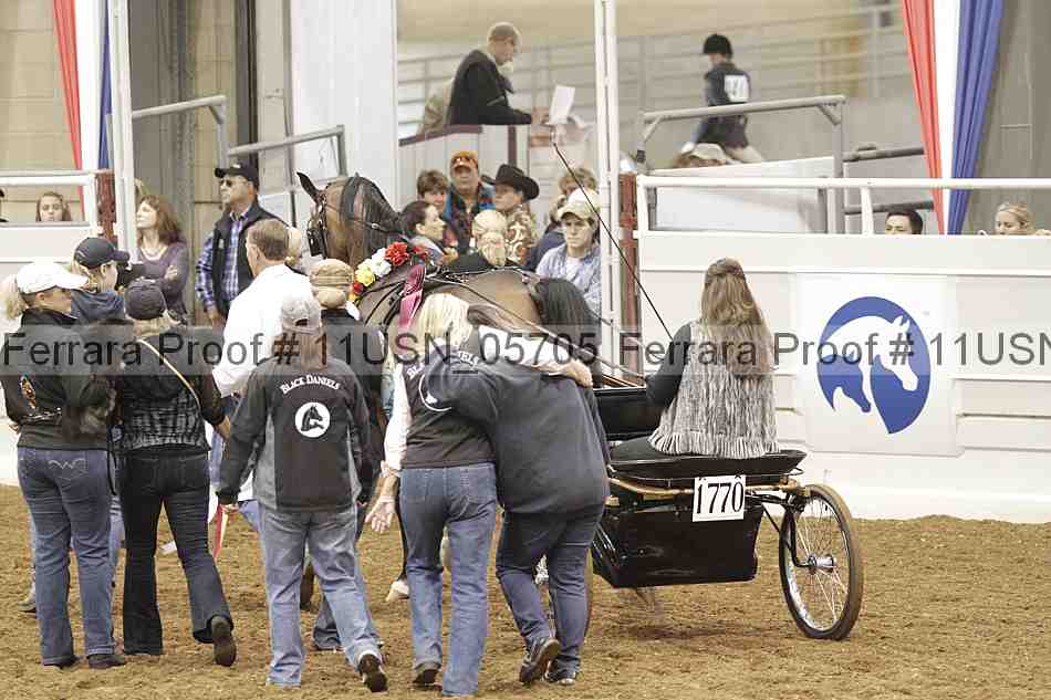 Proof 11usn_05705