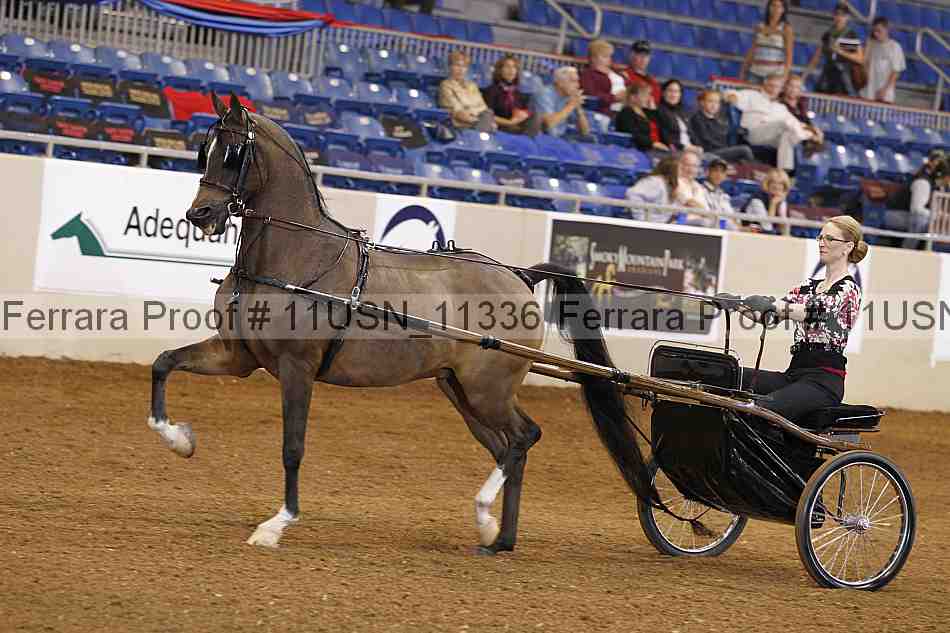 Proof 11usn_11336