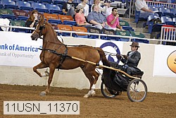 11usn_11370 proof