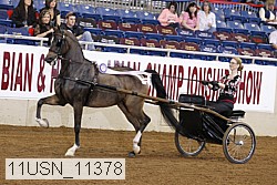 11usn_11378 proof