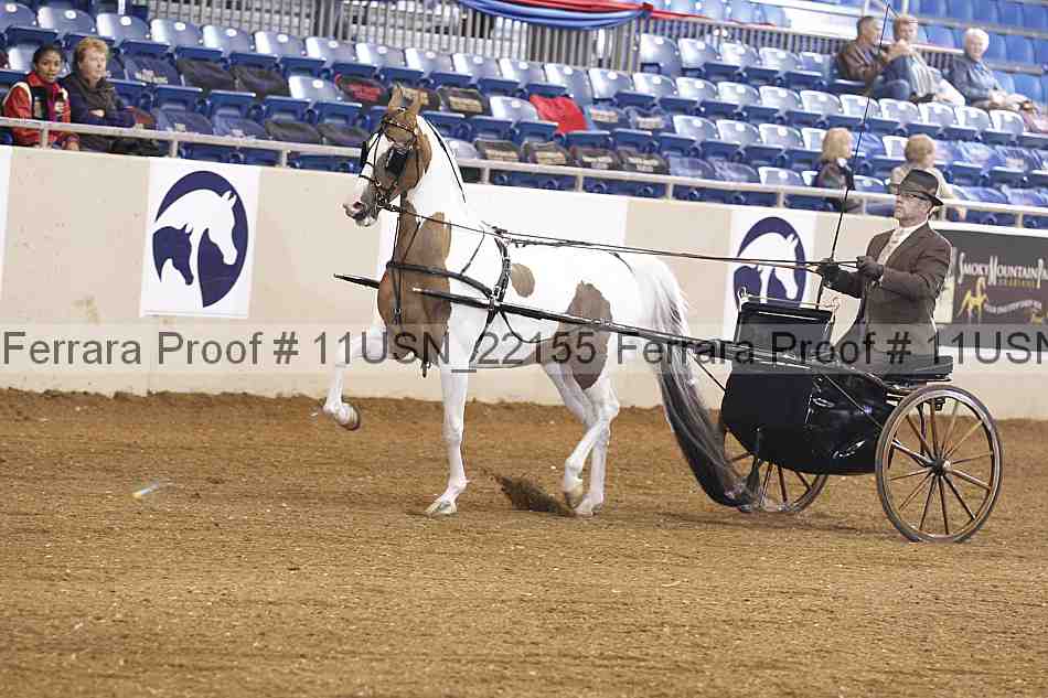 Proof 11usn_22155