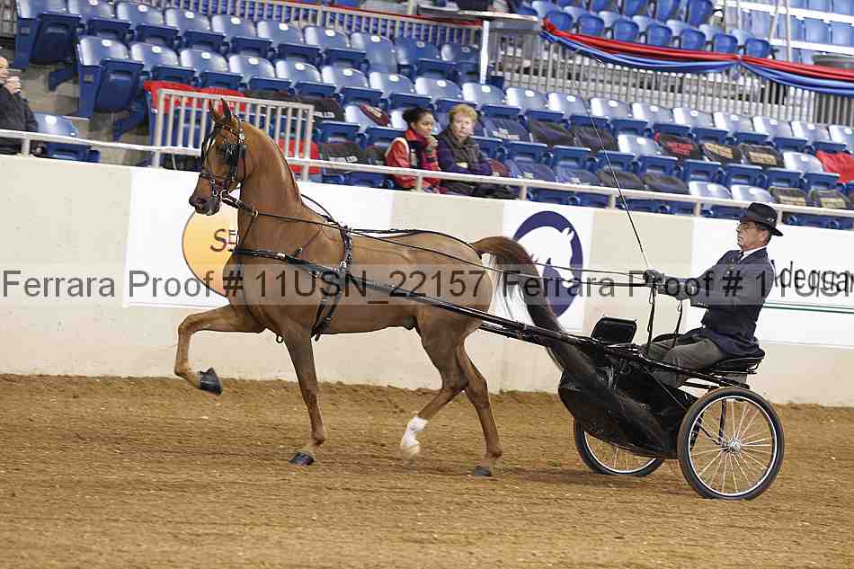 Proof 11usn_22157