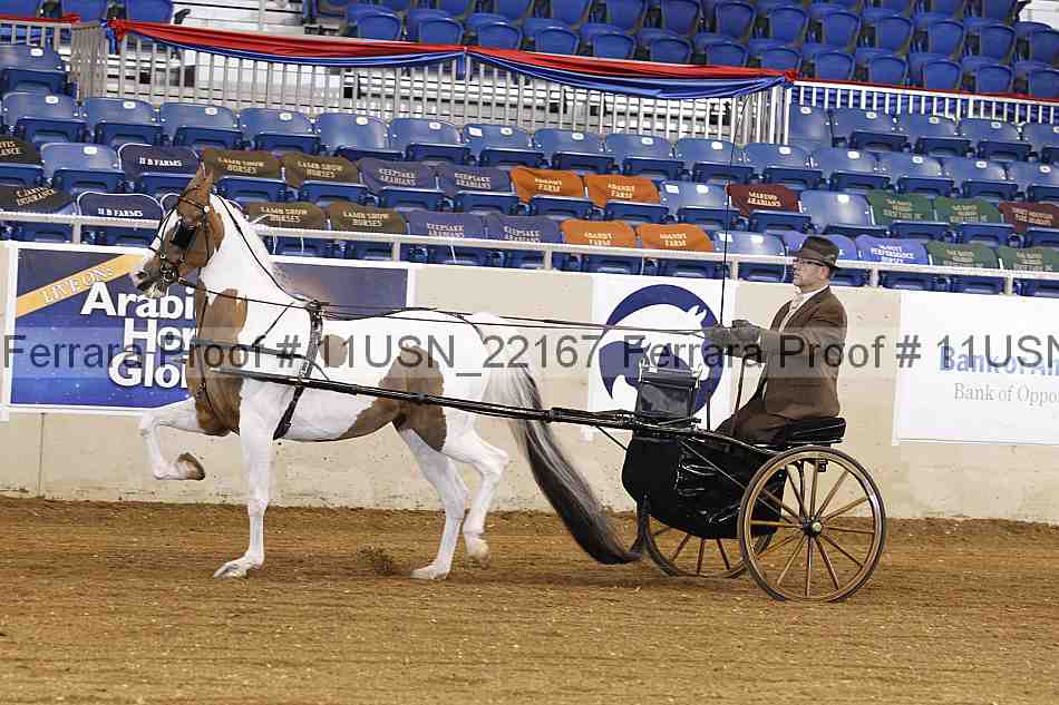 Proof 11usn_22167