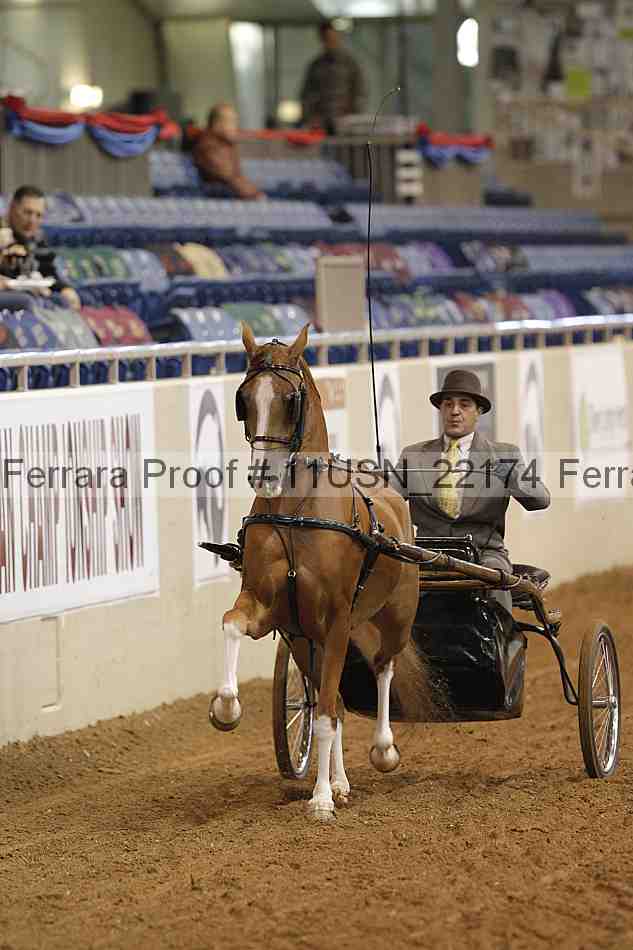 Proof 11usn_22174