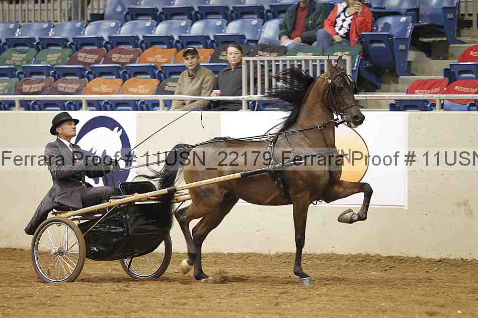 Proof 11usn_22179