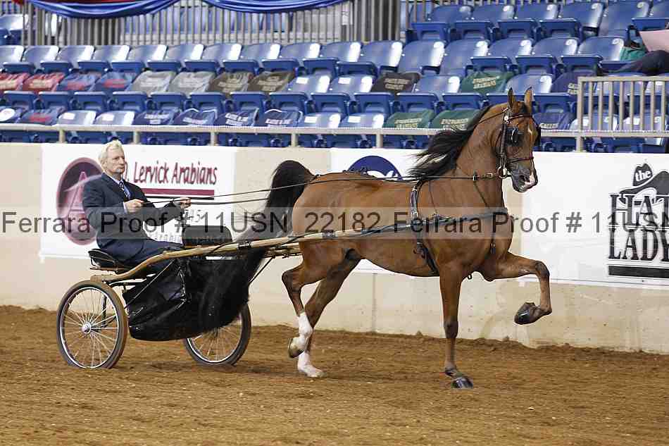 Proof 11usn_22182