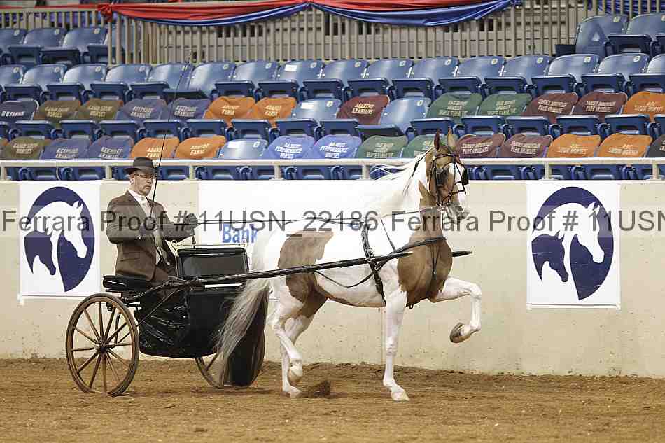 Proof 11usn_22186