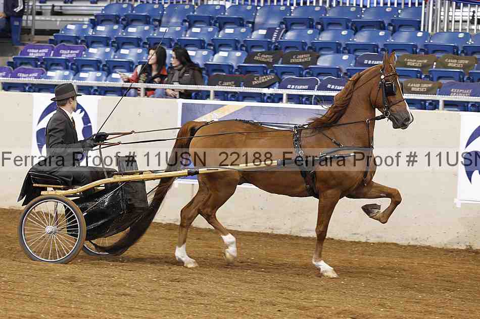 Proof 11usn_22188