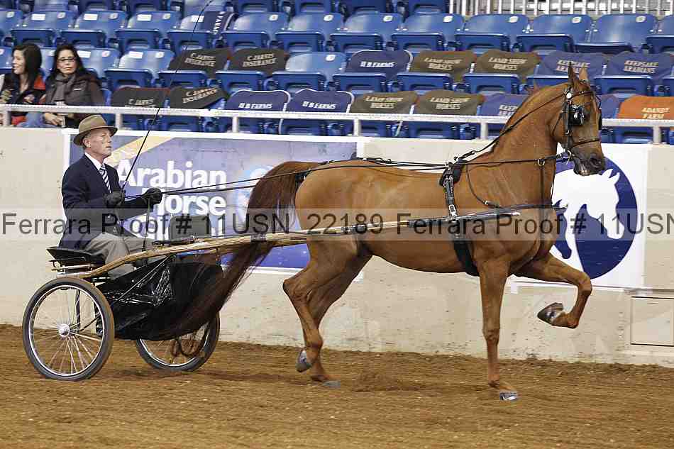 Proof 11usn_22189