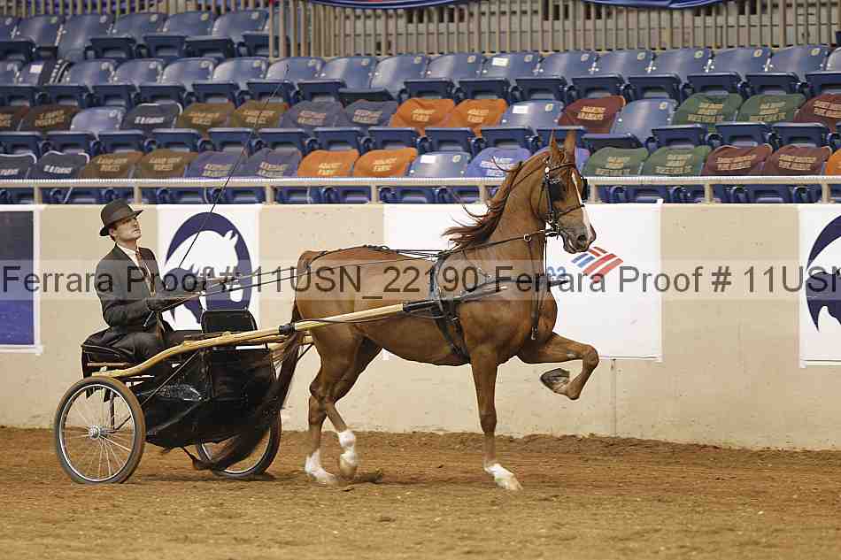 Proof 11usn_22190
