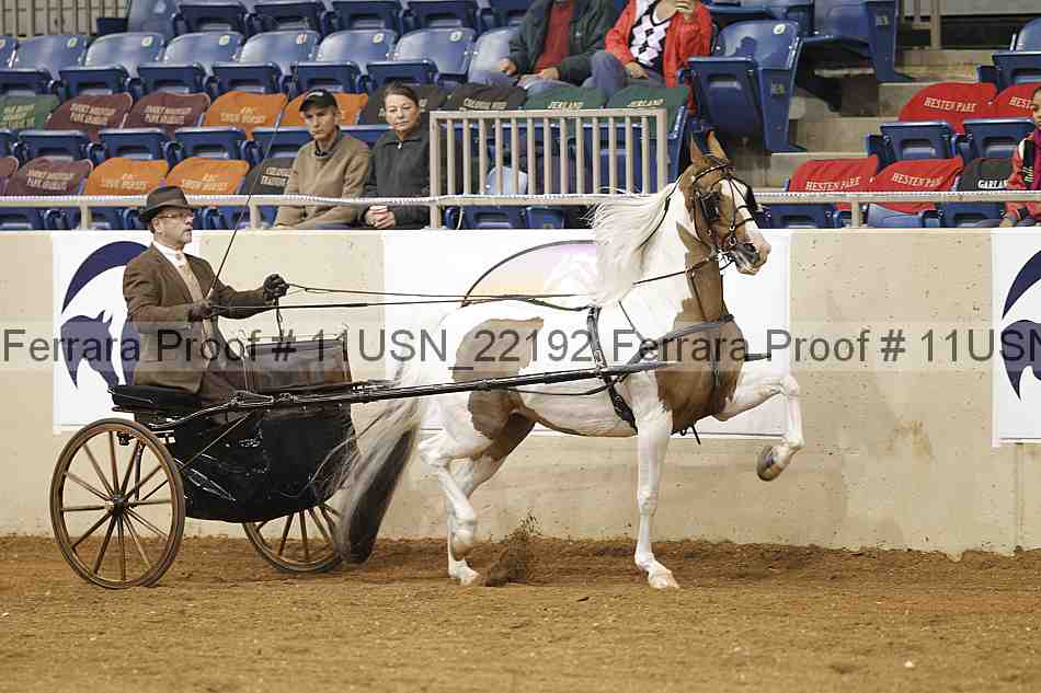 Proof 11usn_22192