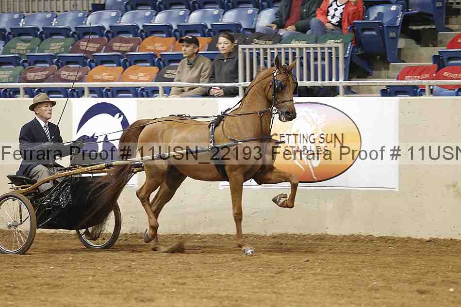 Proof 11usn_22193