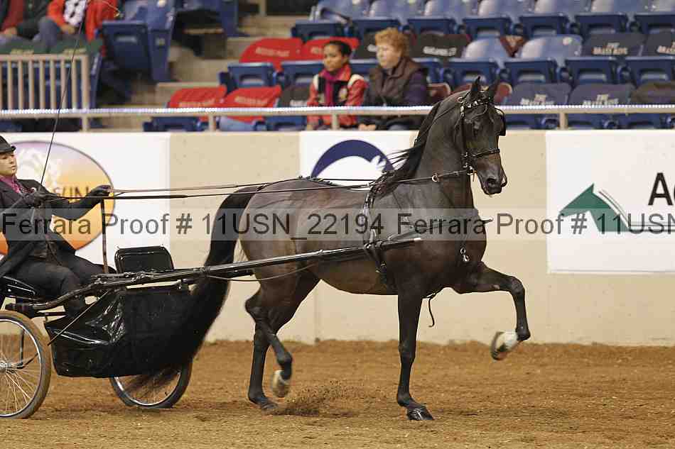 Proof 11usn_22194