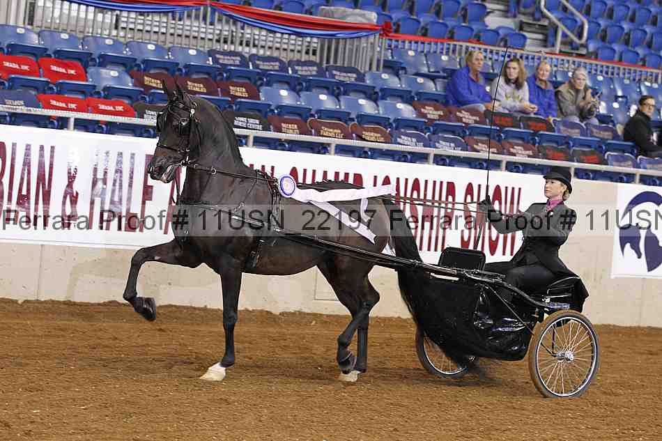 Proof 11usn_22197