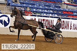 11usn_22201 proof