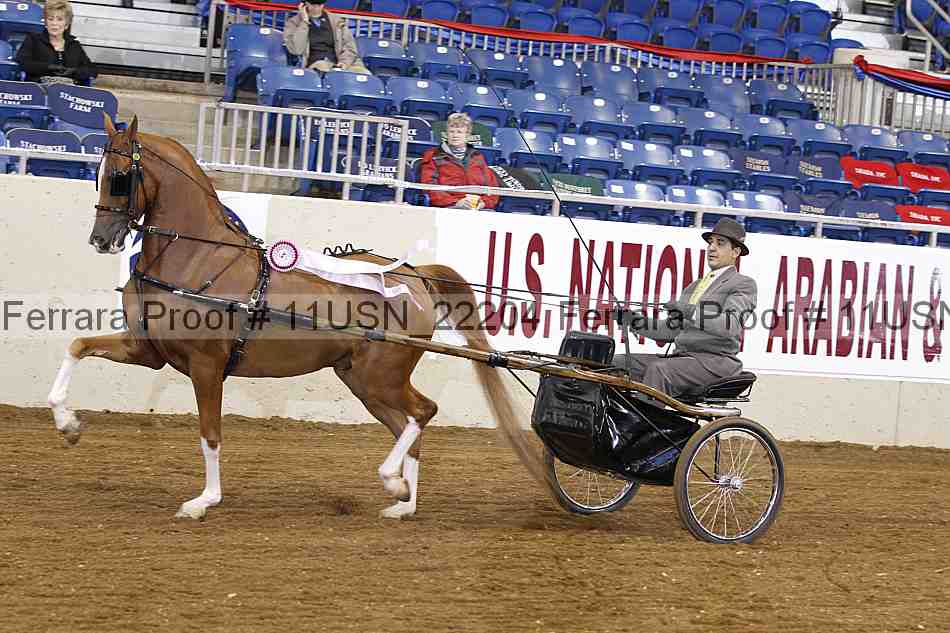 Proof 11usn_22204