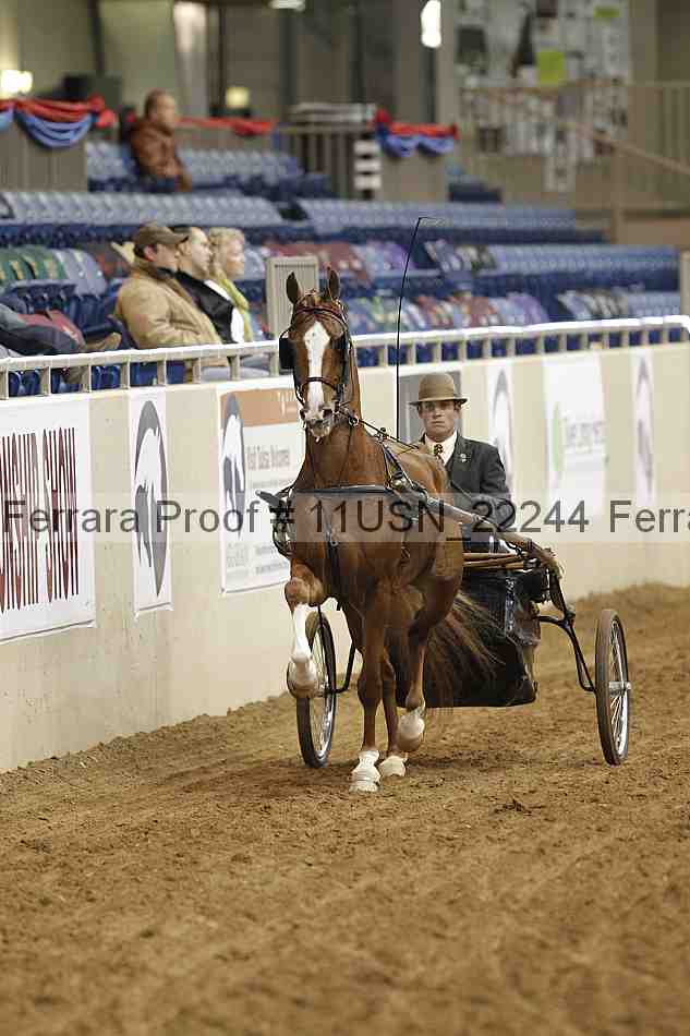 Proof 11usn_22244