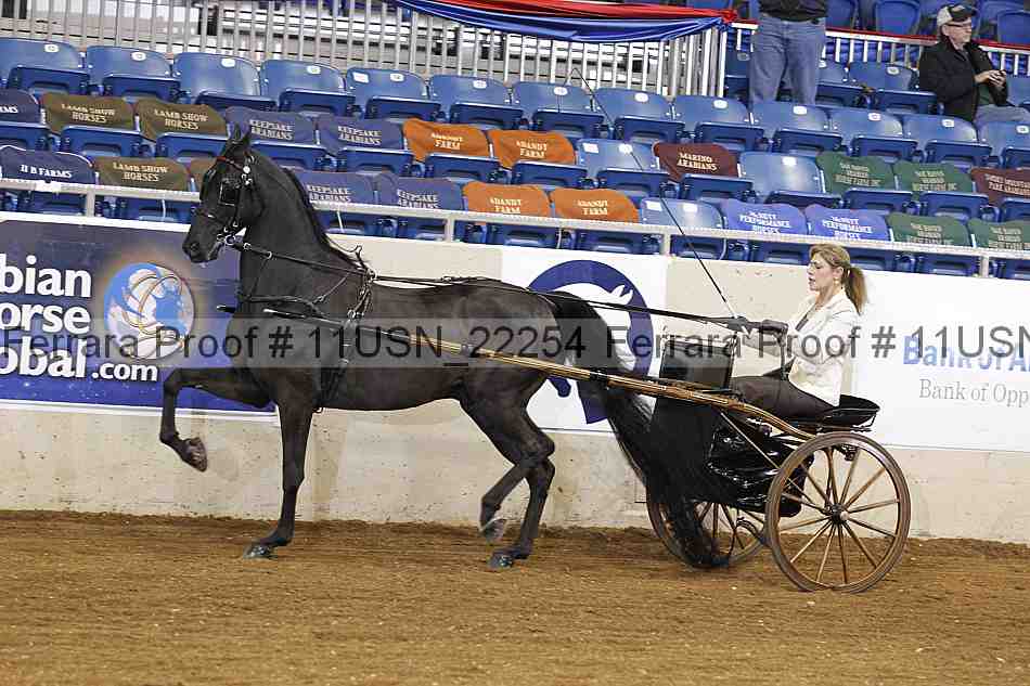 Proof 11usn_22254