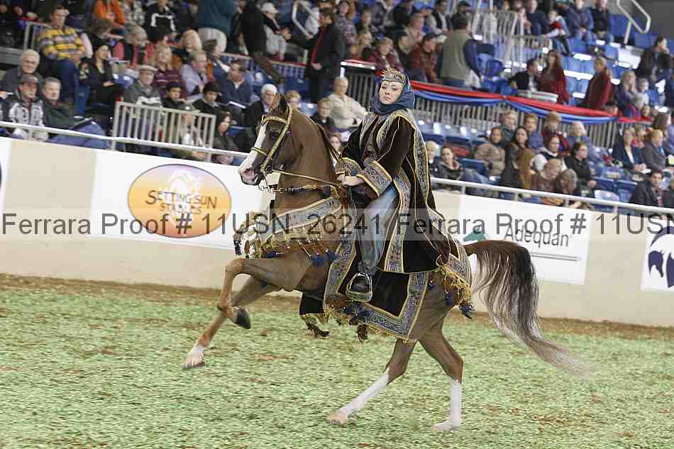 Proof 11usn_26241