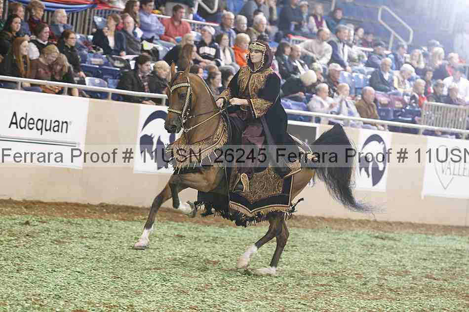 Proof 11usn_26245