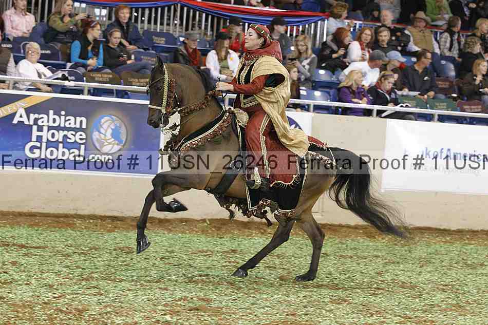 Proof 11usn_26246