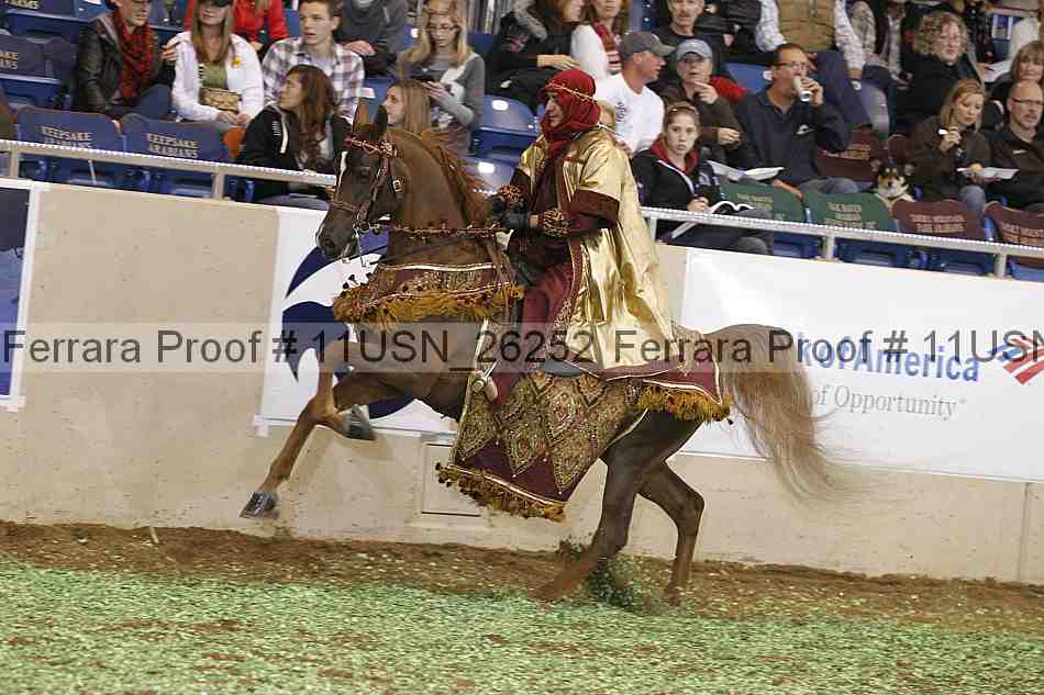 Proof 11usn_26252