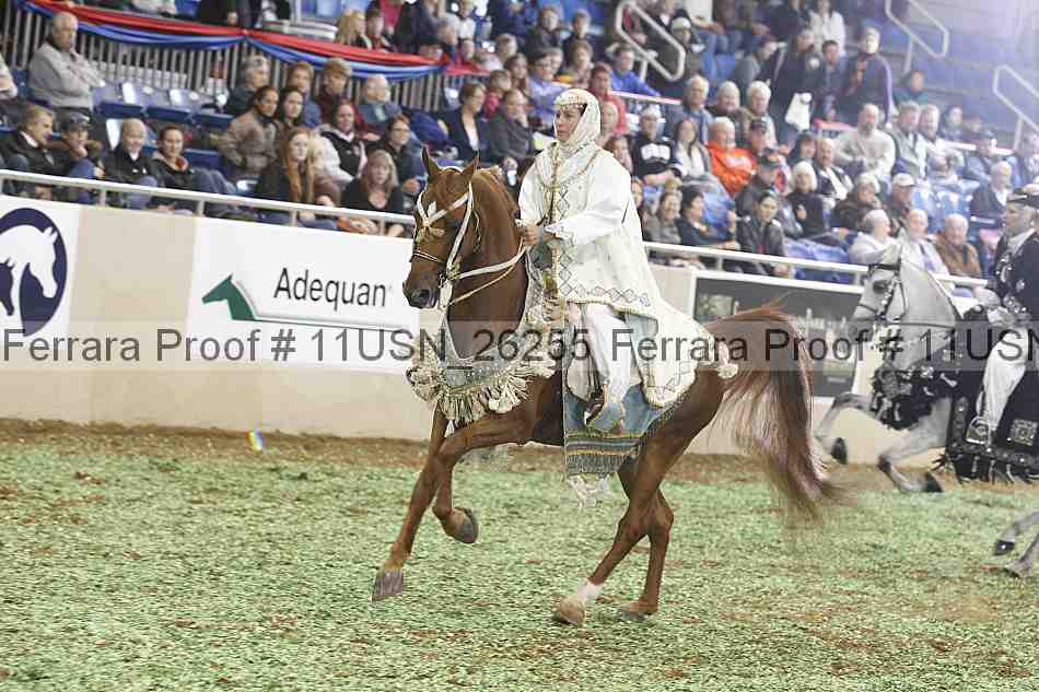 Proof 11usn_26255