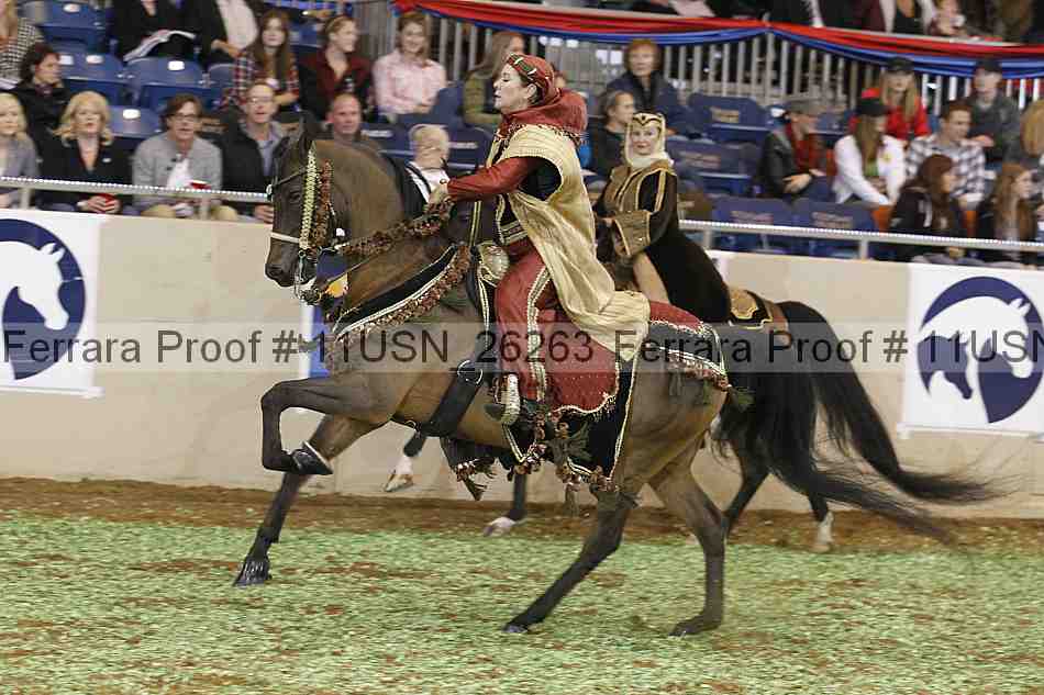 Proof 11usn_26263