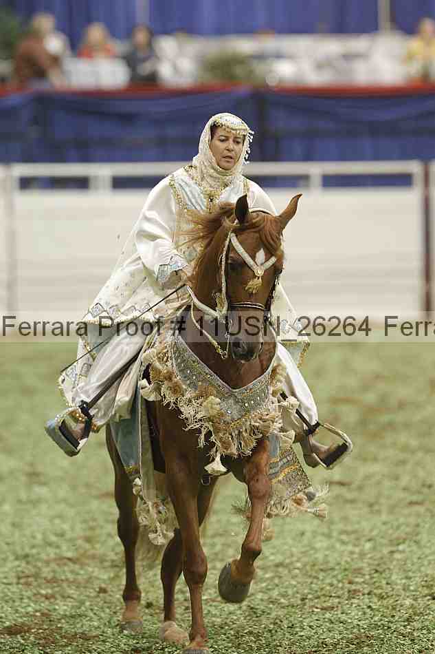 Proof 11usn_26264