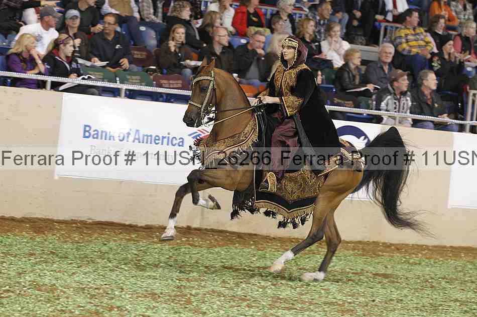 Proof 11usn_26266
