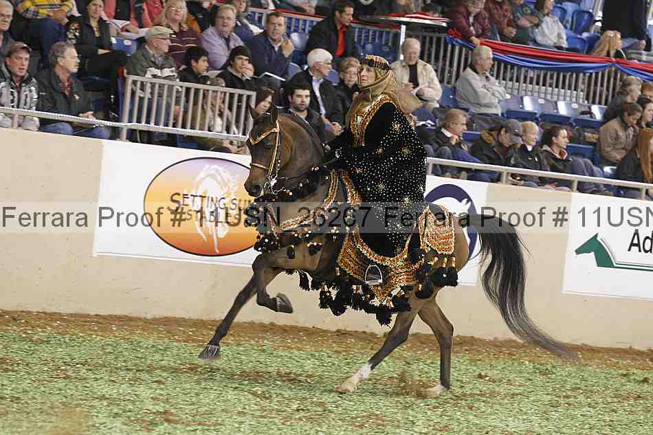 Proof 11usn_26267