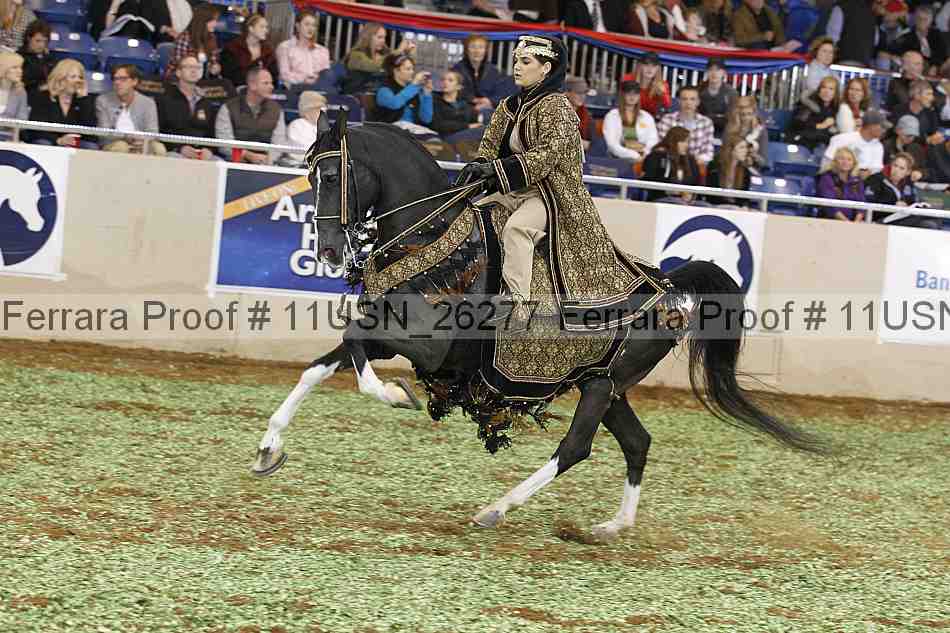 Proof 11usn_26277