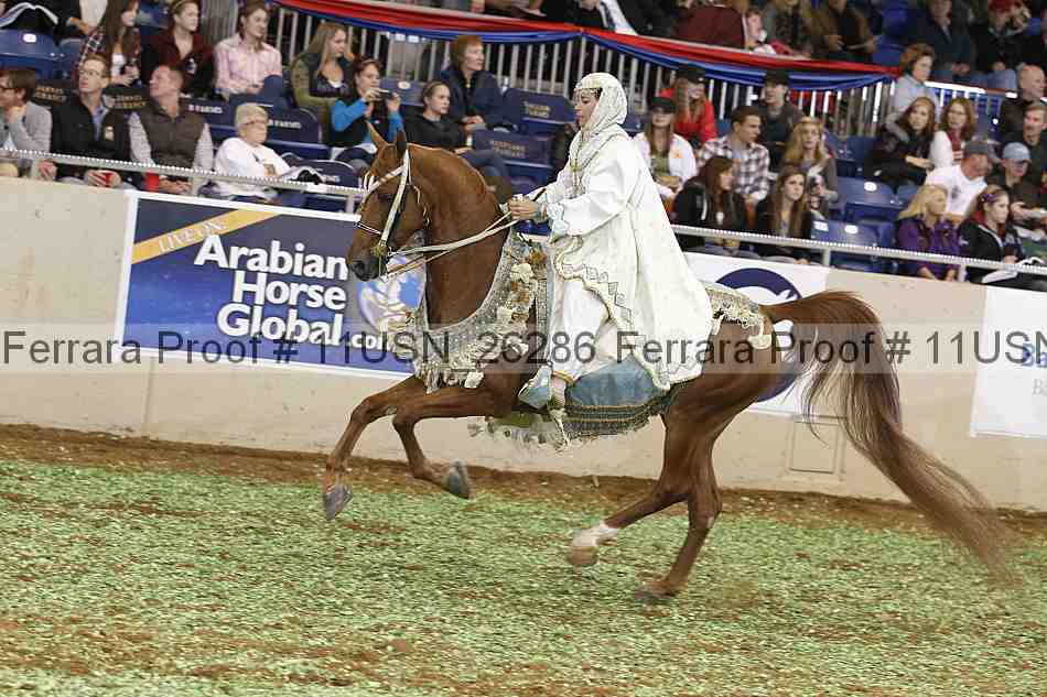 Proof 11usn_26286