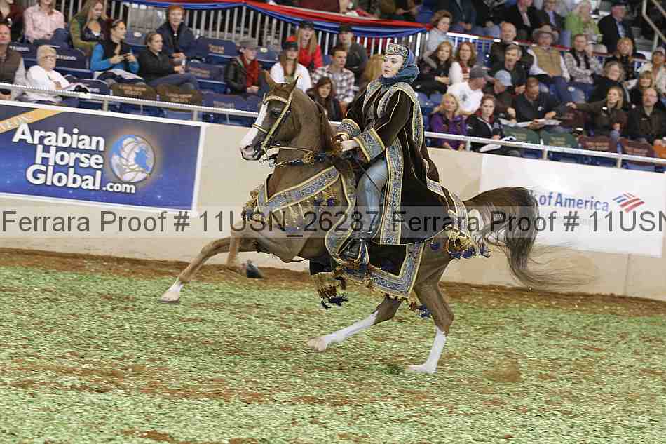 Proof 11usn_26287