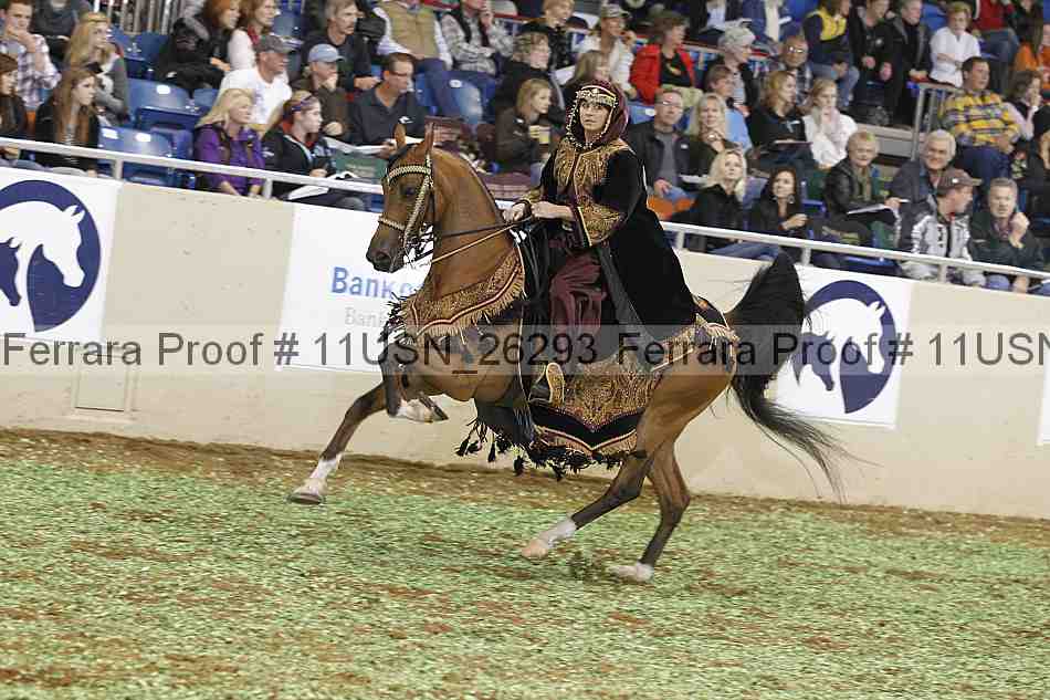 Proof 11usn_26293
